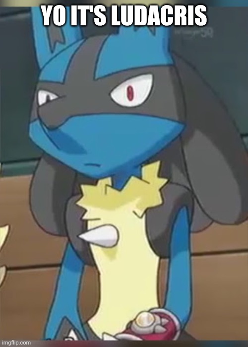 Lucario | YO IT'S LUDACRIS | image tagged in lucario | made w/ Imgflip meme maker