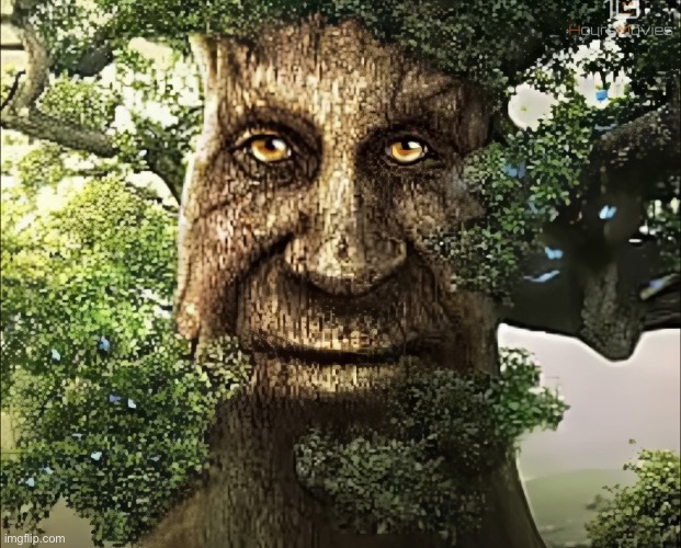 gn chat | image tagged in tree | made w/ Imgflip meme maker