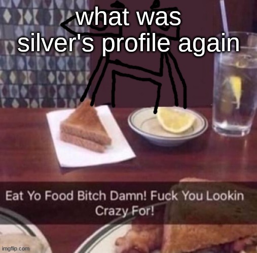 Eat yo food bitch damn | what was silver's profile again | image tagged in eat yo food bitch damn | made w/ Imgflip meme maker