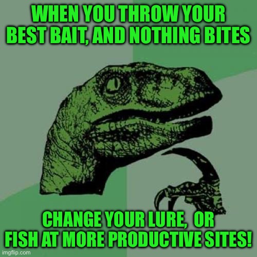 Philosoraptor | WHEN YOU THROW YOUR BEST BAIT, AND NOTHING BITES; CHANGE YOUR LURE,  OR FISH AT MORE PRODUCTIVE SITES! | image tagged in memes,philosoraptor | made w/ Imgflip meme maker