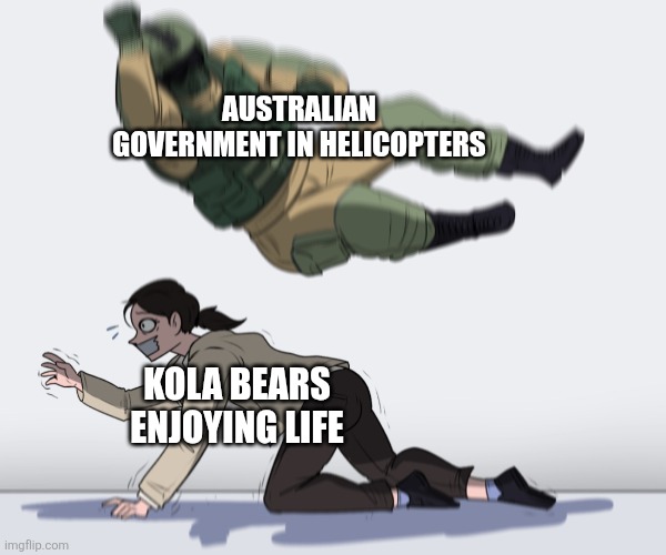 Rainbow Six - Fuze The Hostage | AUSTRALIAN GOVERNMENT IN HELICOPTERS; KOLA BEARS ENJOYING LIFE | image tagged in memes,funny,australia,koala bears,helicopter,news | made w/ Imgflip meme maker
