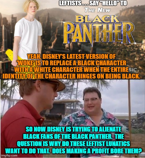 You would think that the board of directors would fire everyone before their share holders eat them alive. | SO NOW DISNEY IS TRYING TO ALIENATE BLACK FANS OF THE BLACK PANTHER.  THE QUESTION IS WHY DO THESE LEFTIST LUNATICS WANT TO DO THAT.  DOES MAKING A PROFIT BORE THEM? | image tagged in see nobody cares | made w/ Imgflip meme maker