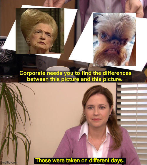 If Elon were a memer. | Those were taken on different days. | image tagged in memes,they're the same picture,npc | made w/ Imgflip meme maker