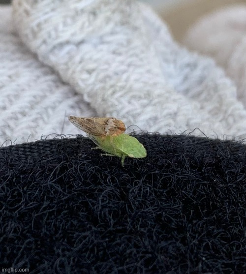 Ah yes, right in public for all to see | made w/ Imgflip meme maker