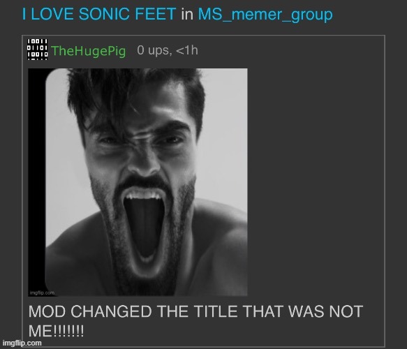 mod changed the title that was not me | image tagged in mod changed the title that was not me | made w/ Imgflip meme maker