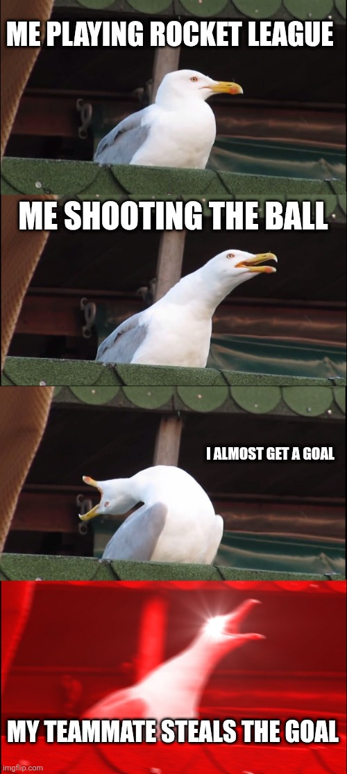 Inhaling Seagull | ME PLAYING ROCKET LEAGUE; ME SHOOTING THE BALL; I ALMOST GET A GOAL; MY TEAMMATE STEALS THE GOAL | image tagged in memes,inhaling seagull | made w/ Imgflip meme maker