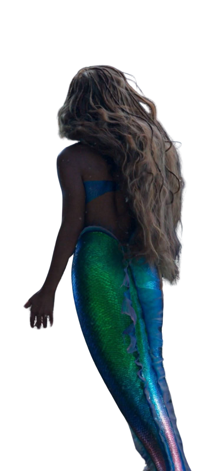 halle's back Blank Meme Template