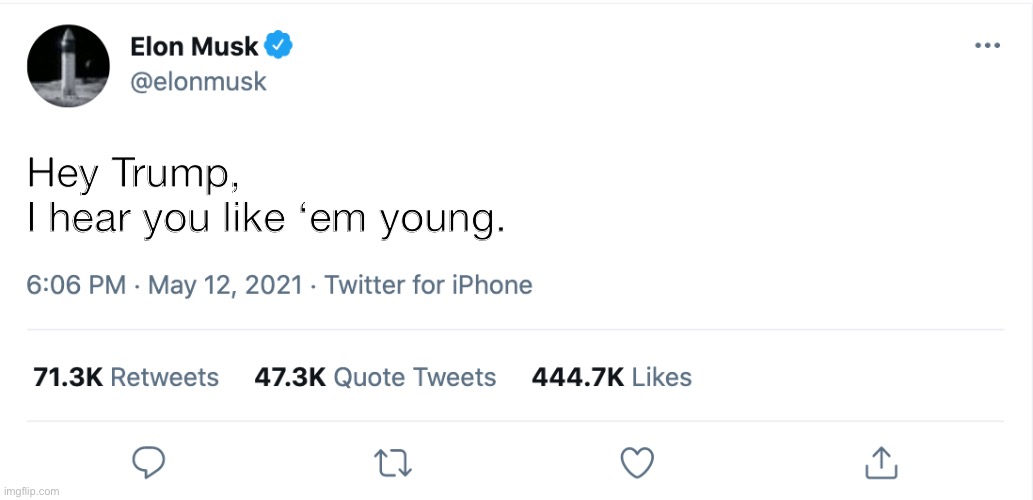 NOT LIKE US NOT LIKE US NOT LIKE US | Hey Trump,
I hear you like ‘em young. | image tagged in elon musk blank tweet | made w/ Imgflip meme maker