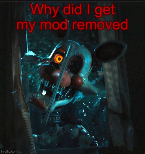 Reposted | Why did I get my mod removed | image tagged in toady s mangle announcement temp | made w/ Imgflip meme maker