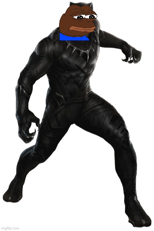"We were once Wakandans and such." The new Black Panther is gonna be white! | image tagged in black panther | made w/ Imgflip meme maker