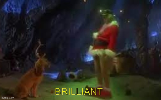The Grinch | BRILLIANT | image tagged in the grinch | made w/ Imgflip meme maker