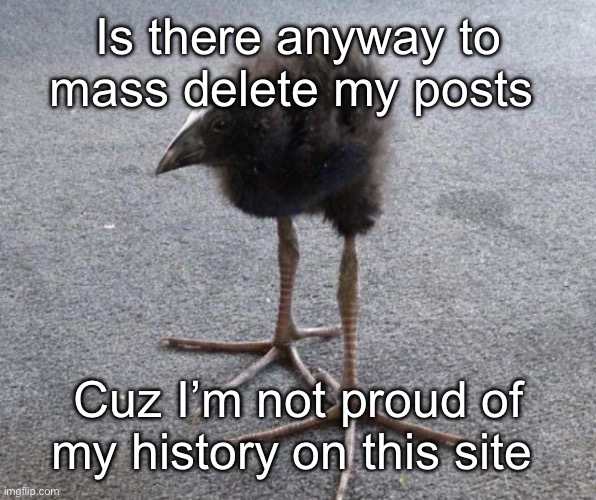 Is there anyway to mass delete my posts; Cuz I’m not proud of my history on this site | made w/ Imgflip meme maker