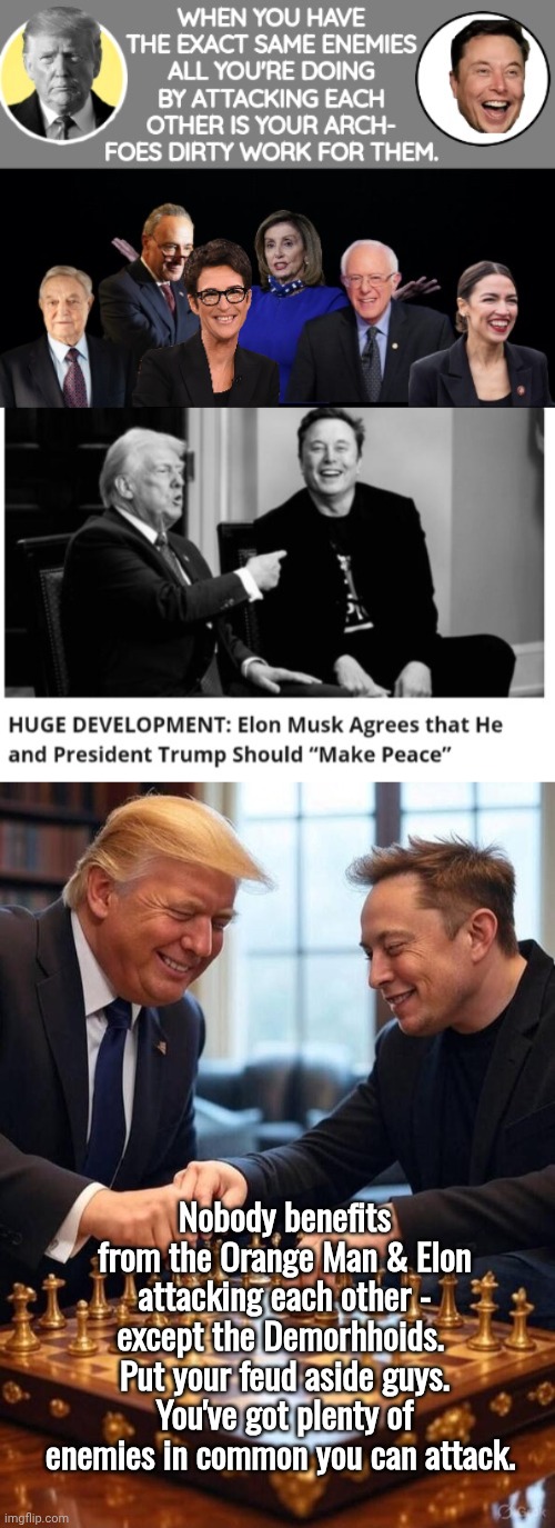 Why attack each other when you share the same enemies? | Nobody benefits from the Orange Man & Elon attacking each other - except the Demorhhoids. 
Put your feud aside guys. You've got plenty of enemies in common you can attack. | image tagged in evil democrat liberals,trump,elon musk | made w/ Imgflip meme maker