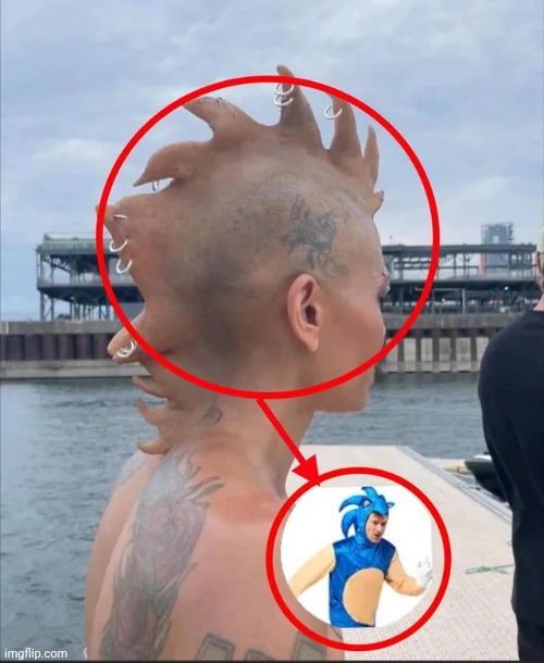 image tagged in memes,msmg,shitpost | made w/ Imgflip meme maker