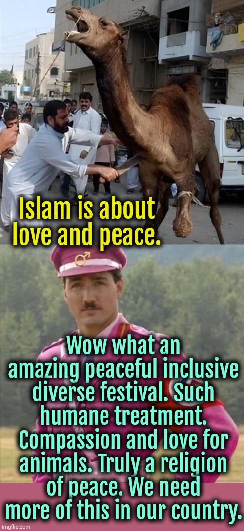 Islam stands for love, veganism, feminism, peace, equality, diversity, tolerance, and kindness. #HappyEid | Islam is about love and peace. Wow what an amazing peaceful inclusive diverse festival. Such humane treatment. Compassion and love for animals. Truly a religion of peace. We need more of this in our country. | image tagged in islam,religion of peace,liberal logic,liberal hypocrisy | made w/ Imgflip meme maker