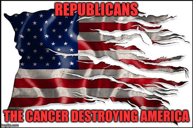 The Cancer on America | REPUBLICANS; THE CANCER DESTROYING AMERICA | image tagged in trump,gop,maga,nazi,fascists,cancer | made w/ Imgflip meme maker