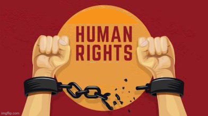 Human Rights Blank Meme Template
