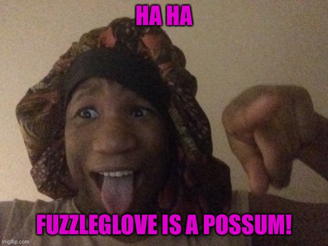 Me reacting to Fuzzleglove is a possum! | HA HA; FUZZLEGLOVE IS A POSSUM! | image tagged in funny memes | made w/ Imgflip meme maker