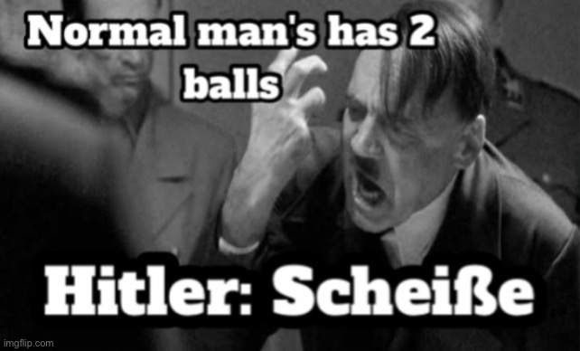 Why it needed to be me | image tagged in adolf hitler | made w/ Imgflip meme maker
