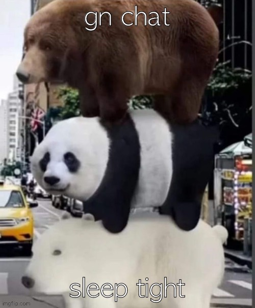 gn | gn chat; sleep tight | image tagged in real we bare bears | made w/ Imgflip meme maker