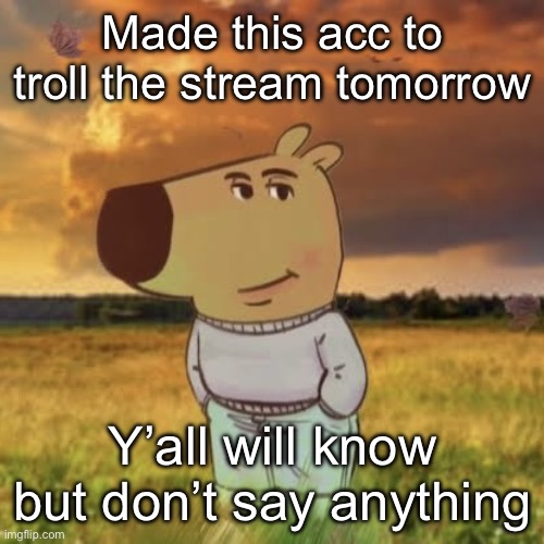 Chill guy | Made this acc to troll the stream tomorrow; Y’all will know but don’t say anything | image tagged in chill guy | made w/ Imgflip meme maker
