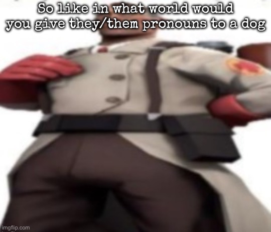 Animals don’t even know what the lgbtq is | So like in what world would you give they/them pronouns to a dog | image tagged in ze medic,msmg | made w/ Imgflip meme maker