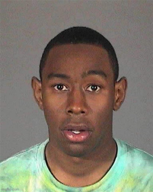 Tyler Mugshot | image tagged in tyler mugshot | made w/ Imgflip meme maker