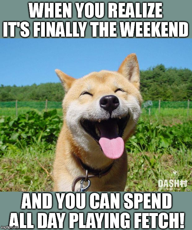 Happy Dog | WHEN YOU REALIZE IT'S FINALLY THE WEEKEND; AND YOU CAN SPEND ALL DAY PLAYING FETCH! | image tagged in happy dog | made w/ Imgflip meme maker