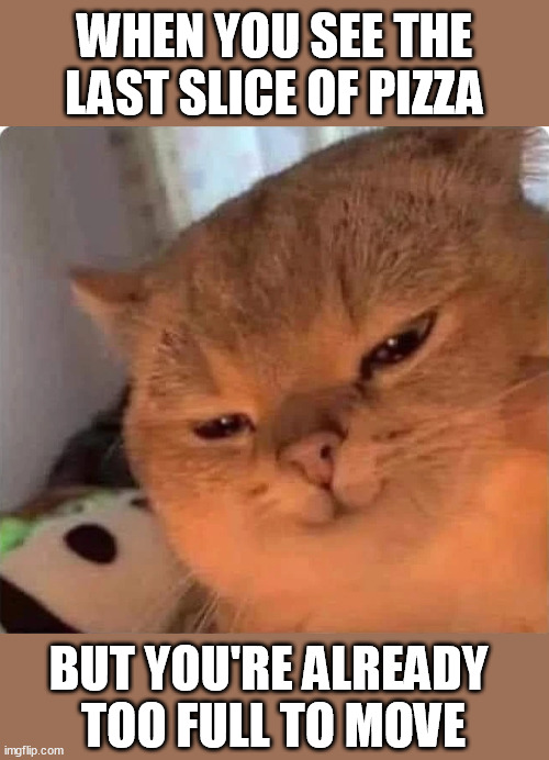 Satisfied cat | WHEN YOU SEE THE LAST SLICE OF PIZZA; BUT YOU'RE ALREADY 
TOO FULL TO MOVE | image tagged in satisfied cat | made w/ Imgflip meme maker