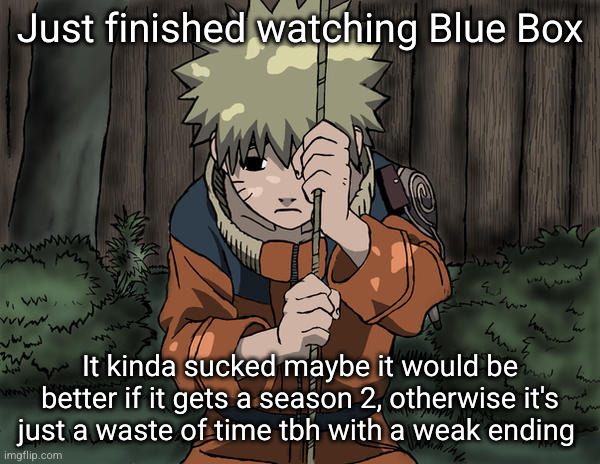 go watch a mainstreamed one instead | Just finished watching Blue Box; It kinda sucked maybe it would be better if it gets a season 2, otherwise it's just a waste of time tbh with a weak ending | image tagged in naruto sad,anime,naruto,sad,blue box,netflix | made w/ Imgflip meme maker