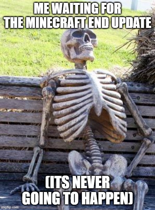 Waiting Skeleton | ME WAITING FOR THE MINECRAFT END UPDATE; (ITS NEVER GOING TO HAPPEN) | image tagged in memes,waiting skeleton | made w/ Imgflip meme maker