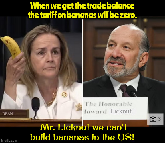 Gone bananas | When we get the trade balance the tariff on bananas will be zero. Licknut; Mr. Licknut we can't build bananas in the US! | image tagged in gone bananas,trariff treason,licknut,trade inbalance,maga minion moron,out of his tree | made w/ Imgflip meme maker