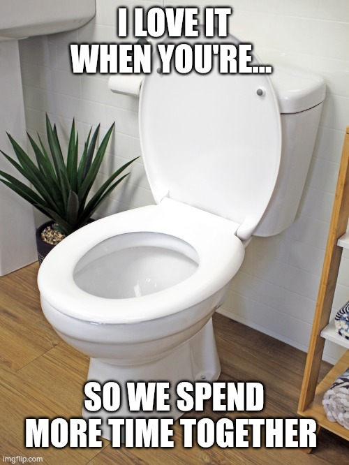 Toilet Flirtation | I LOVE IT WHEN YOU'RE... SO WE SPEND MORE TIME TOGETHER | image tagged in memes,funny memes | made w/ Imgflip meme maker