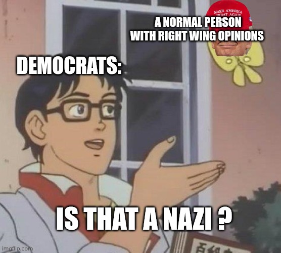 Is This A Pigeon Meme | A NORMAL PERSON WITH RIGHT WING OPINIONS; DEMOCRATS:; IS THAT A NAZI ? | image tagged in memes,is this a pigeon | made w/ Imgflip meme maker