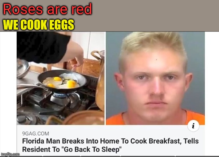 Roses | WE COOK EGGS; Roses are red | image tagged in roses are red | made w/ Imgflip meme maker