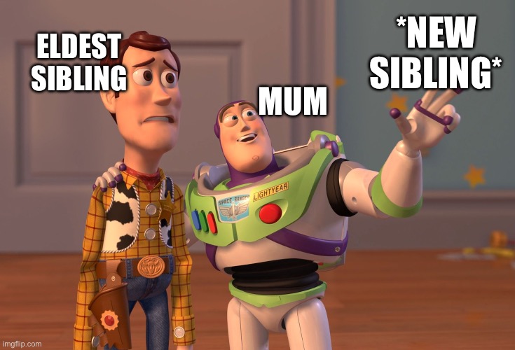 Pain | *NEW SIBLING*; ELDEST SIBLING; MUM | image tagged in memes,x x everywhere | made w/ Imgflip meme maker