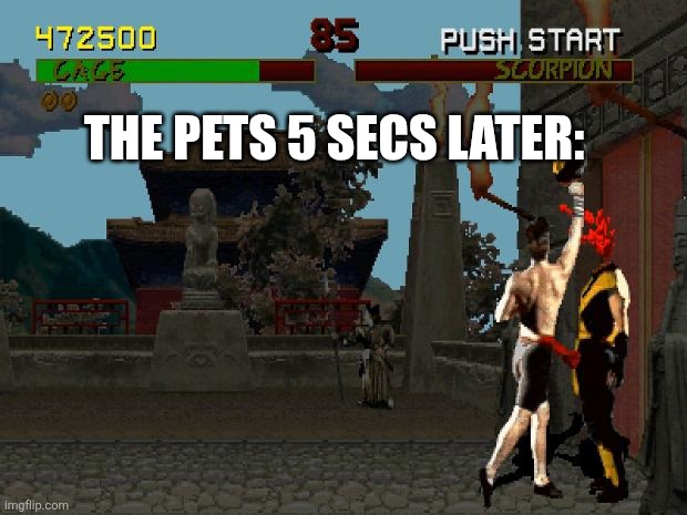 Fatality Mortal Kombat | THE PETS 5 SECS LATER: | image tagged in fatality mortal kombat | made w/ Imgflip meme maker