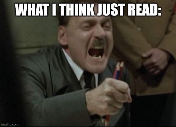 Hitler Downfall | WHAT I THINK JUST READ: | image tagged in hitler downfall | made w/ Imgflip meme maker