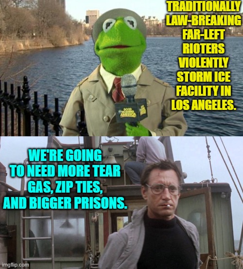 And that's how Conservatives react to leftist lawbreakers.  Enjoy . . . leftists. | TRADITIONALLY LAW-BREAKING FAR-LEFT RIOTERS VIOLENTLY STORM ICE FACILITY IN LOS ANGELES. WE'RE GOING TO NEED MORE TEAR GAS, ZIP TIES, AND BIGGER PRISONS. | image tagged in kermit news report | made w/ Imgflip meme maker