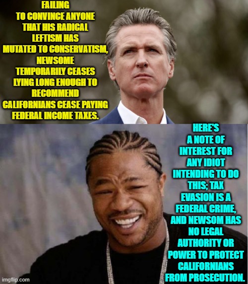 Go ahead idiotic -- one presumes leftist -- Californians and follow Newsome's 'recommendation'. | FAILING TO CONVINCE ANYONE THAT HIS RADICAL LEFTISM HAS MUTATED TO CONSERVATISM, NEWSOME TEMPORARILY CEASES LYING LONG ENOUGH TO RECOMMEND CALIFORNIANS CEASE PAYING FEDERAL INCOME TAXES. HERE'S A NOTE OF INTEREST FOR ANY IDIOT INTENDING TO DO THIS; TAX EVASION IS A FEDERAL CRIME, AND NEWSOM HAS NO LEGAL AUTHORITY OR POWER TO PROTECT CALIFORNIANS FROM PROSECUTION. | image tagged in yo dawg heard you | made w/ Imgflip meme maker