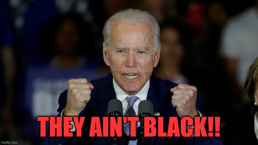 Angry Joe Biden | THEY AIN'T BLACK!! | image tagged in angry joe biden | made w/ Imgflip meme maker
