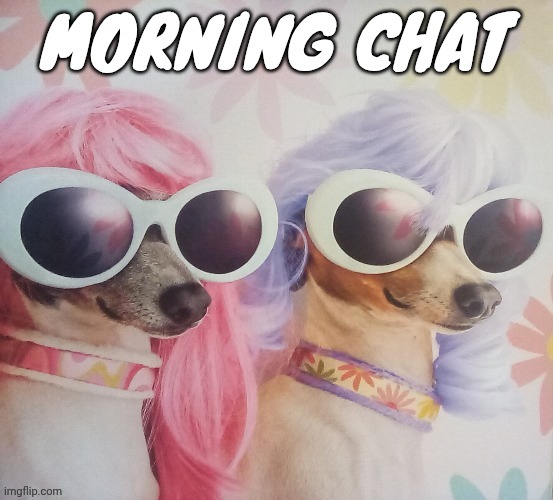 Groovy dawgs | MORNING CHAT | image tagged in groovy dawgs | made w/ Imgflip meme maker