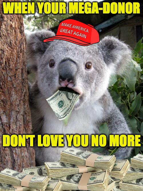Surprised MAGA. | WHEN YOUR MEGA-DONOR; DON'T LOVE YOU NO MORE | image tagged in memes,surprised koala,maga | made w/ Imgflip meme maker