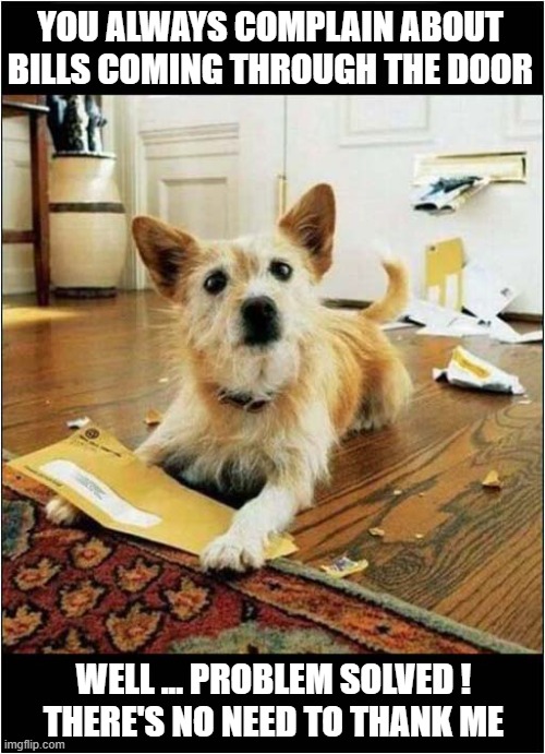 What A 'Thoughtful' Dog ! | YOU ALWAYS COMPLAIN ABOUT BILLS COMING THROUGH THE DOOR; WELL ... PROBLEM SOLVED !
THERE'S NO NEED TO THANK ME | image tagged in dogs,post,bills,destroyed | made w/ Imgflip meme maker