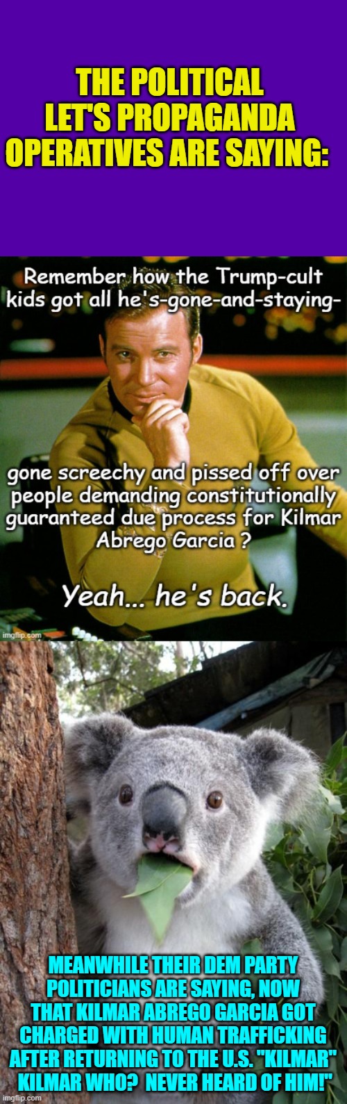 Yeah, this is what's really happening. | THE POLITICAL LET'S PROPAGANDA OPERATIVES ARE SAYING:; MEANWHILE THEIR DEM PARTY POLITICIANS ARE SAYING, NOW THAT KILMAR ABREGO GARCIA GOT CHARGED WITH HUMAN TRAFFICKING AFTER RETURNING TO THE U.S. "KILMAR"  KILMAR WHO?  NEVER HEARD OF HIM!" | image tagged in surprised koala | made w/ Imgflip meme maker
