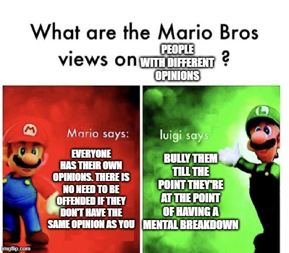 SLIGHTLY OVERRATED?! SLIGHTLY OVERRATED?! I HOPE YOU FALL INTO A VAT OF ACID | PEOPLE WITH DIFFERENT OPINIONS; EVERYONE HAS THEIR OWN OPINIONS. THERE IS NO NEED TO BE OFFENDED IF THEY DON'T HAVE THE SAME OPINION AS YOU; BULLY THEM TILL THE POINT THEY'RE AT THE POINT OF HAVING A MENTAL BREAKDOWN | image tagged in mario bros views,funny,memes,dark humor | made w/ Imgflip meme maker