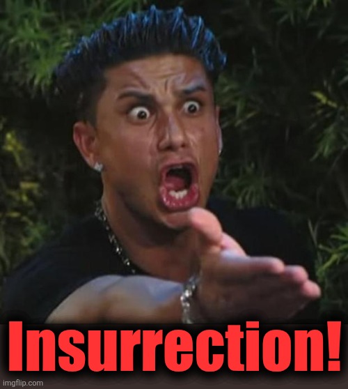 DJ Pauly D Meme | Insurrection! | image tagged in memes,dj pauly d | made w/ Imgflip meme maker