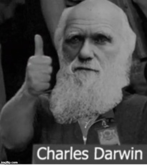 Charles Darwin thumbs up | image tagged in charles darwin thumbs up | made w/ Imgflip meme maker