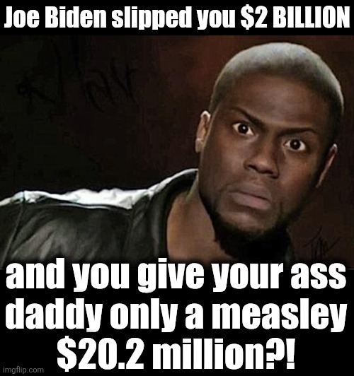 Joe Biden slipped you $2 BILLION and you give your ass
daddy only a measley
$20.2 million?! | image tagged in memes,kevin hart,blank black | made w/ Imgflip meme maker