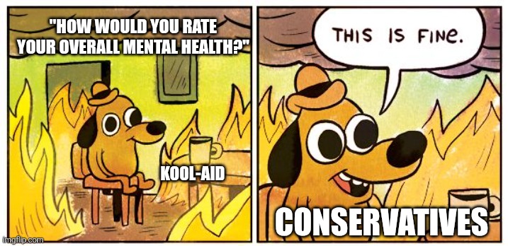 This Is Fine Meme | "HOW WOULD YOU RATE YOUR OVERALL MENTAL HEALTH?" CONSERVATIVES KOOL-AID | image tagged in memes,this is fine | made w/ Imgflip meme maker
